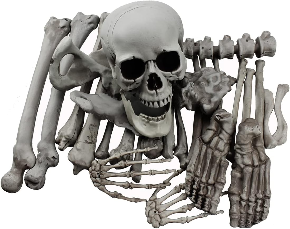 Hauntiva™ Hauntingly Elegant Skeleton Decor Set – 28 pcs