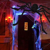 Hauntiva™ Giant Spider & Web Halloween Decor