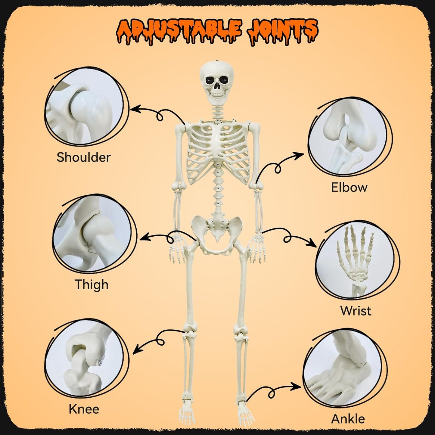 Hauntiva™ Life-Size Halloween Skeleton Decor