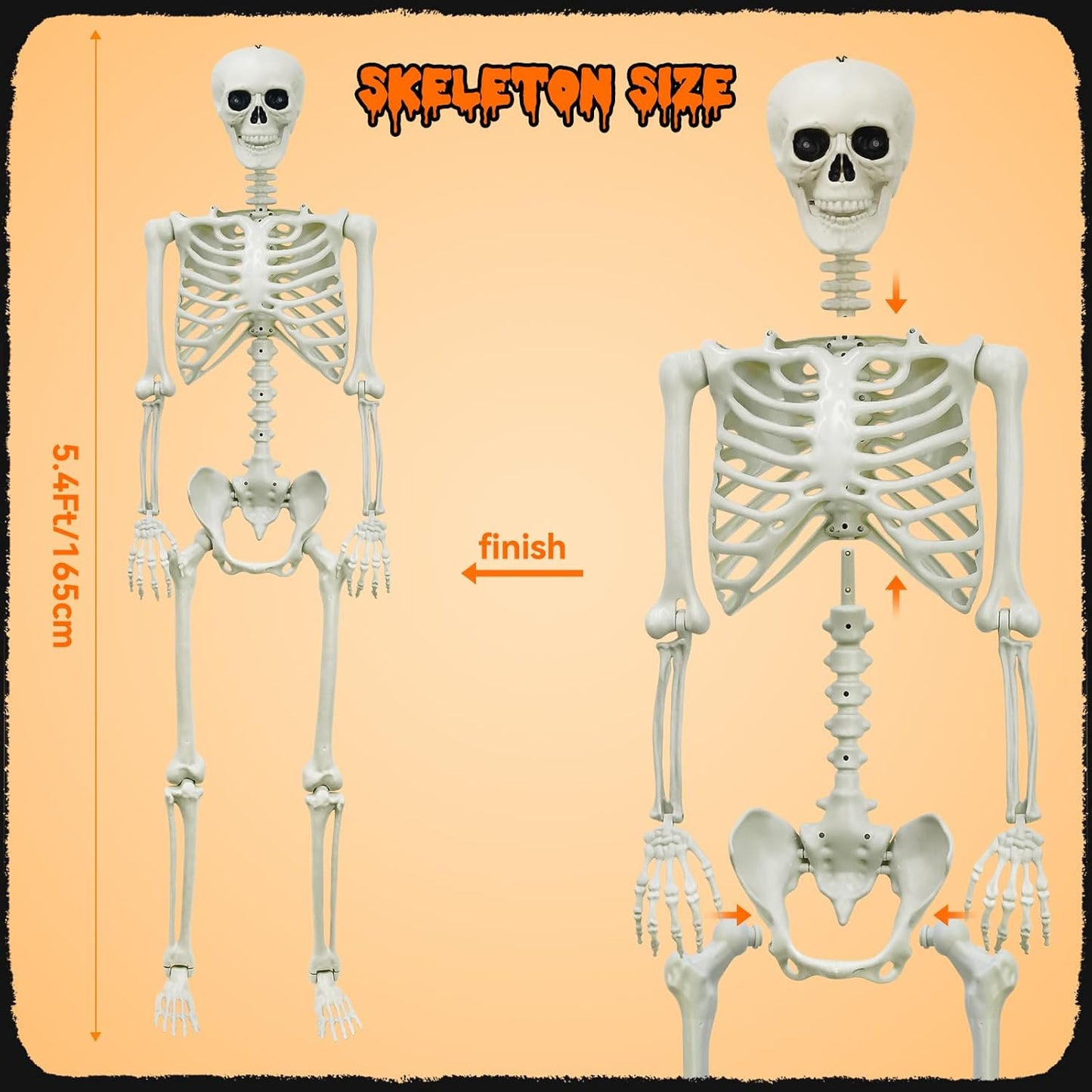 Hauntiva™ Life-Size Halloween Skeleton Decor