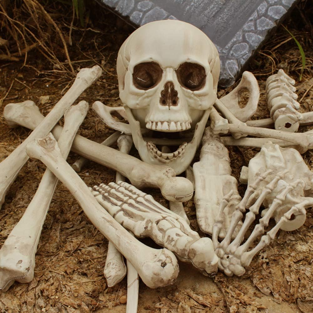 Hauntiva™ Hauntingly Elegant Skeleton Decor Set – 28 pcs