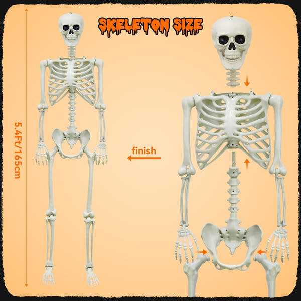 Hauntiva™ Life-Size Halloween Skeleton Decor