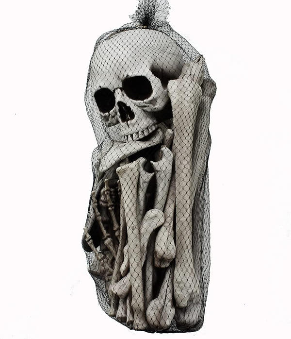 Hauntiva™ Hauntingly Elegant Skeleton Decor Set – 28 pcs