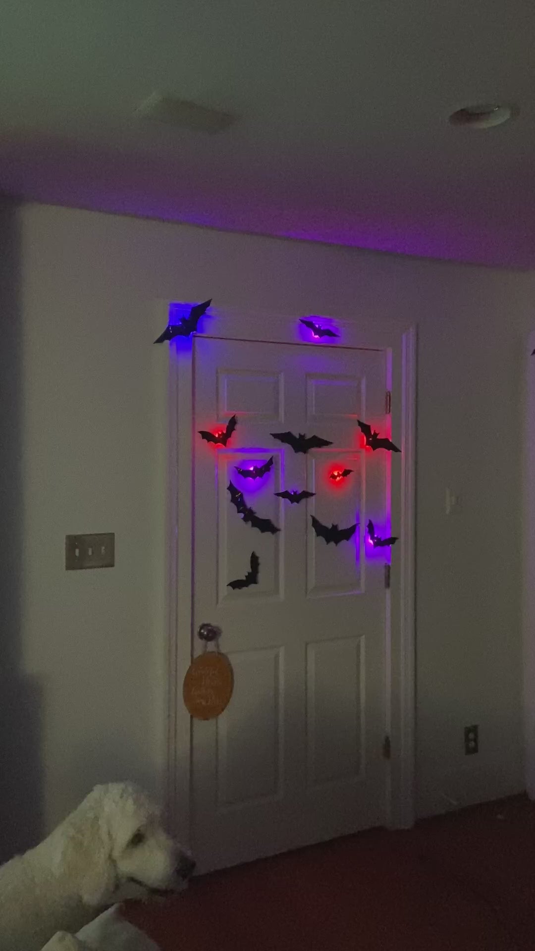Hauntiva™ Haunting Glow 3D Bat Decorations – 36 pcs video