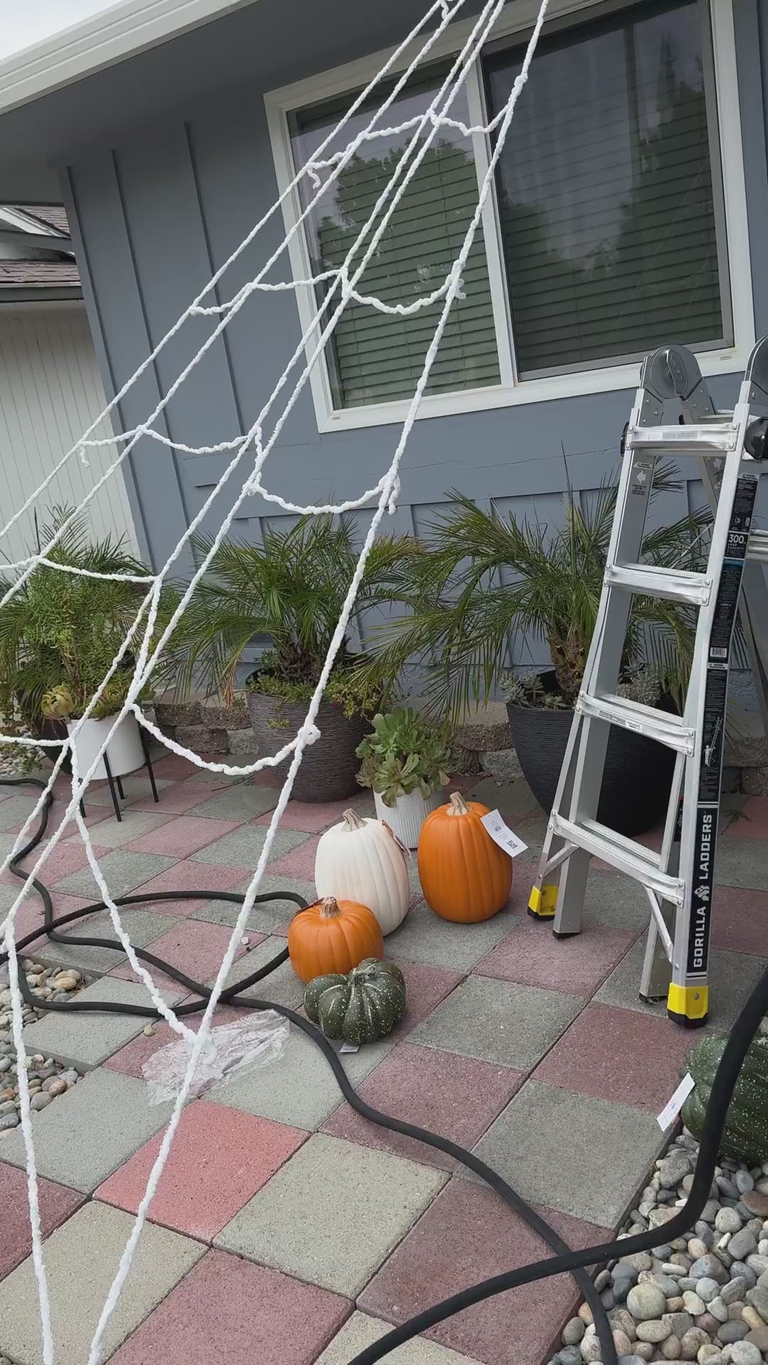 Hauntiva™ Giant Spider & Web Halloween Decor video