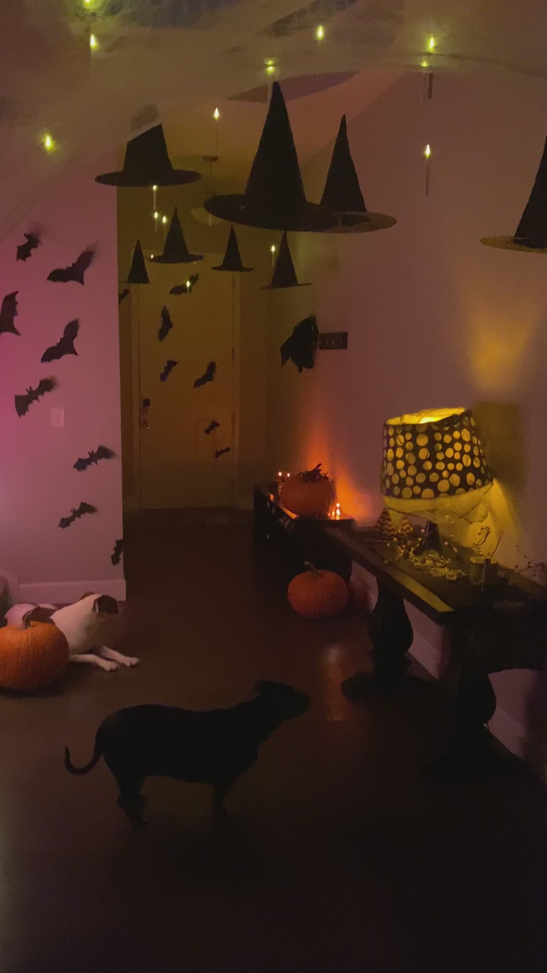 Hauntiva™ Floating Enchantment Candles – 12 pcs video
